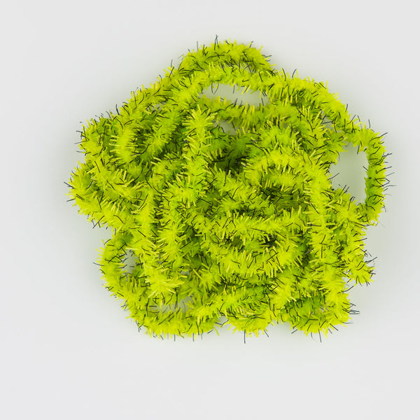 The Hairy Caterpillar