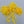 Gamechanger Blob Set