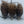 Mouse 3 Pack