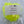 Egg-It UV