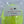 MC Neon Cloak