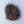 Disco Straggle Small