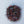 Disco Straggle Small