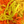 Golden Egg-It