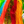 Pulse Fibre